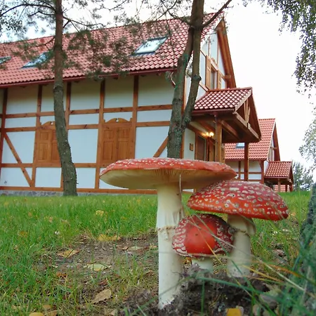 Pod Gwiazdami - Caloroczny Na Kaszubach Barkocin