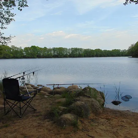 Pod Gwiazdami - Caloroczny Na Kaszubach Holiday home *