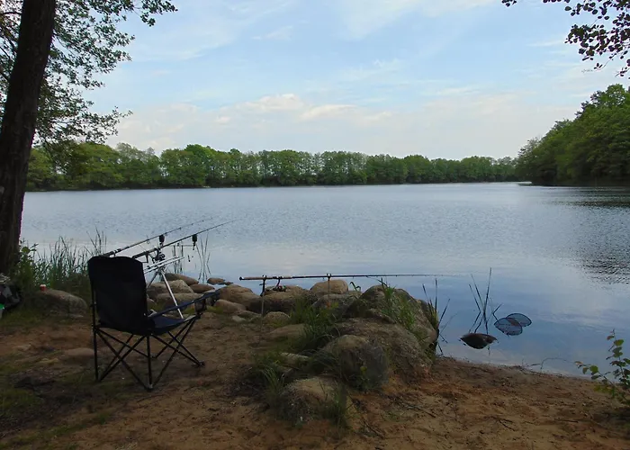 Pod Gwiazdami - Caloroczny Na Kaszubach Дом отдыха *