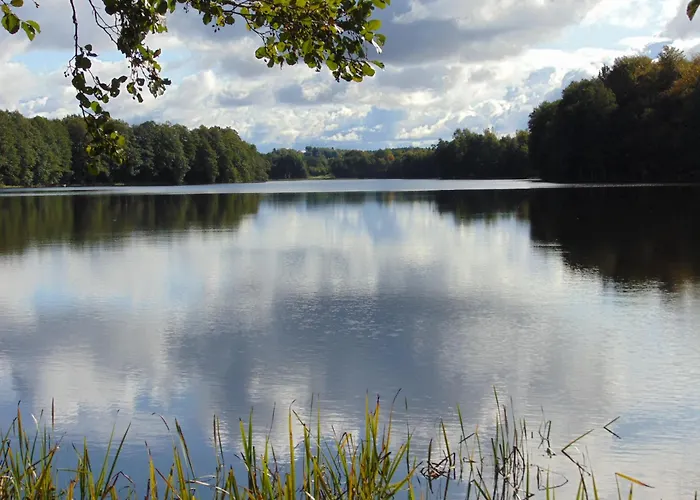 Pod Gwiazdami - Caloroczny Na Kaszubach * Barkocin